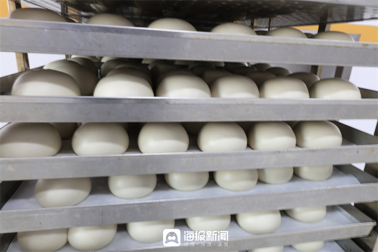 新春走基层｜山东馒头南下记：一枚乐陵希森马铃薯馒头的“反向春运”(图2)