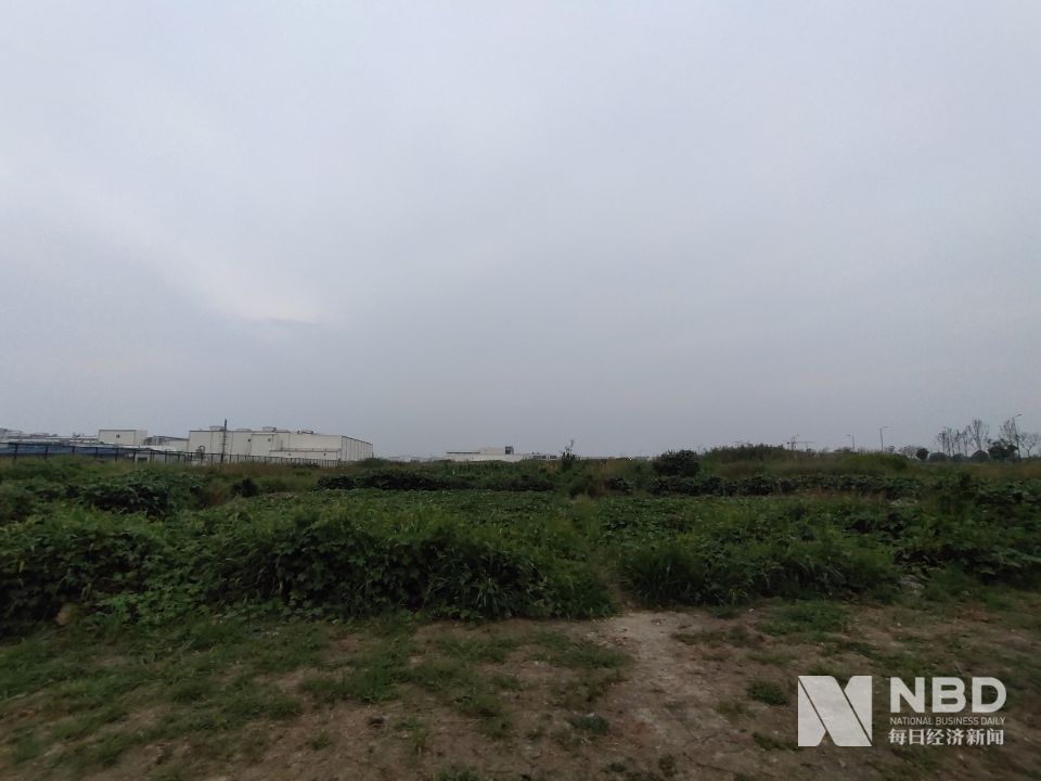 朝鲜人也没有想到啊！就派遣了1万多人去俄罗斯打了一仗！现在俄罗斯生产的啤酒烟草菜籽油和猪肉都开始大量进入朝鲜了。(图6)