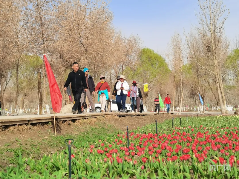 高质量发展看中国丨花“漾”天山春满疆文旅兴业谱“新”篇(图5)