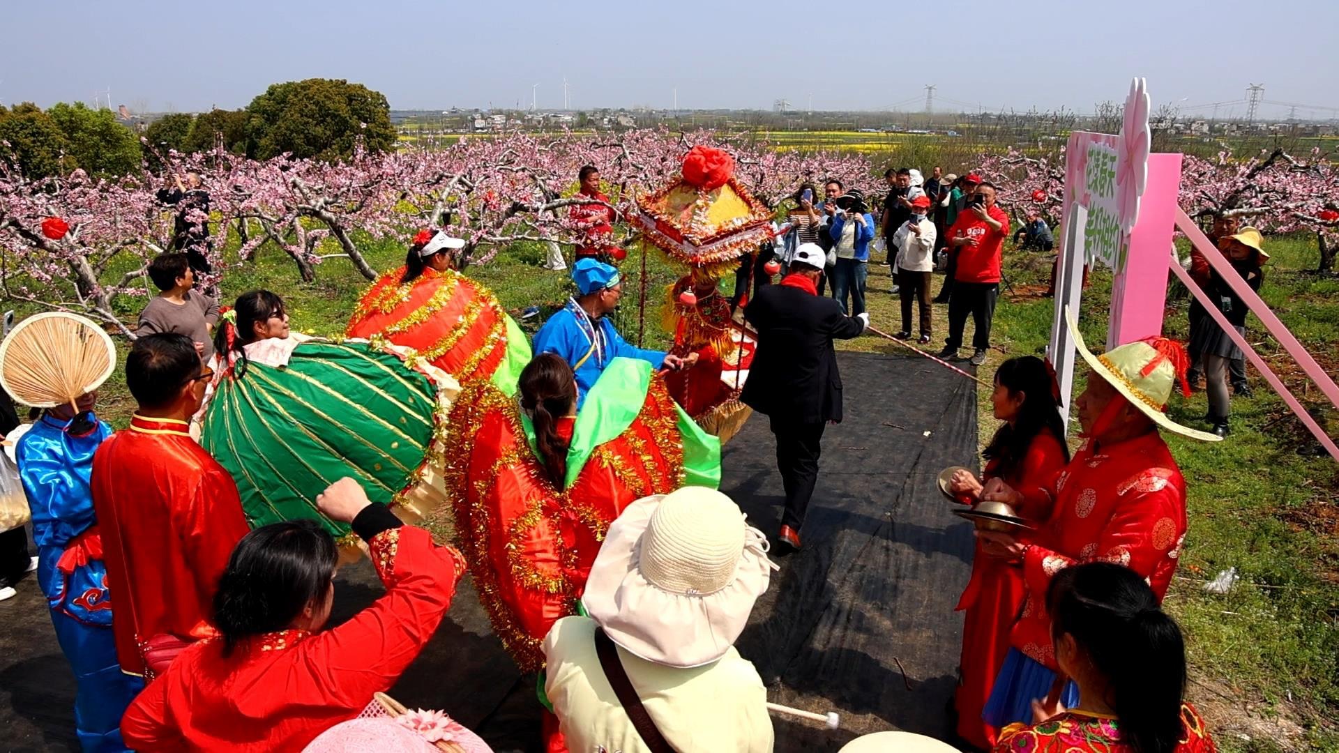 以桃为媒以旅兴乡——汉川市垌塚镇桃花文化旅游季启幕(图2)