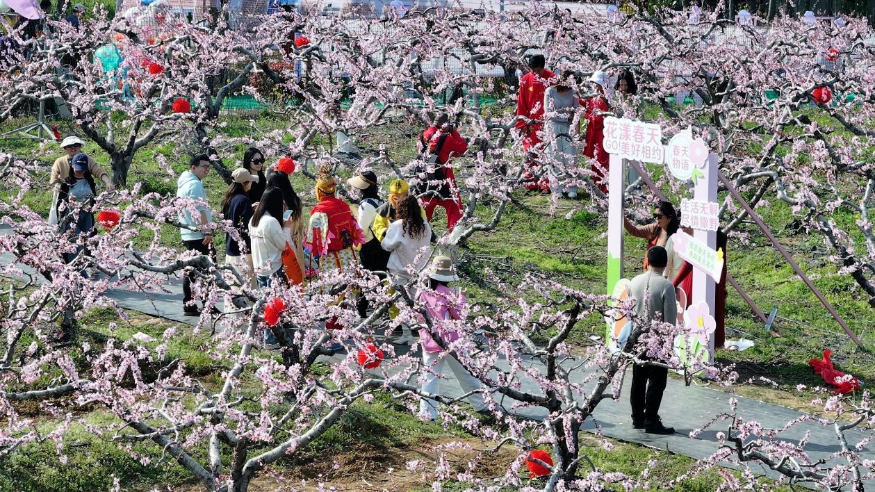 以桃为媒以旅兴乡——汉川市垌塚镇桃花文化旅游季启幕(图3)