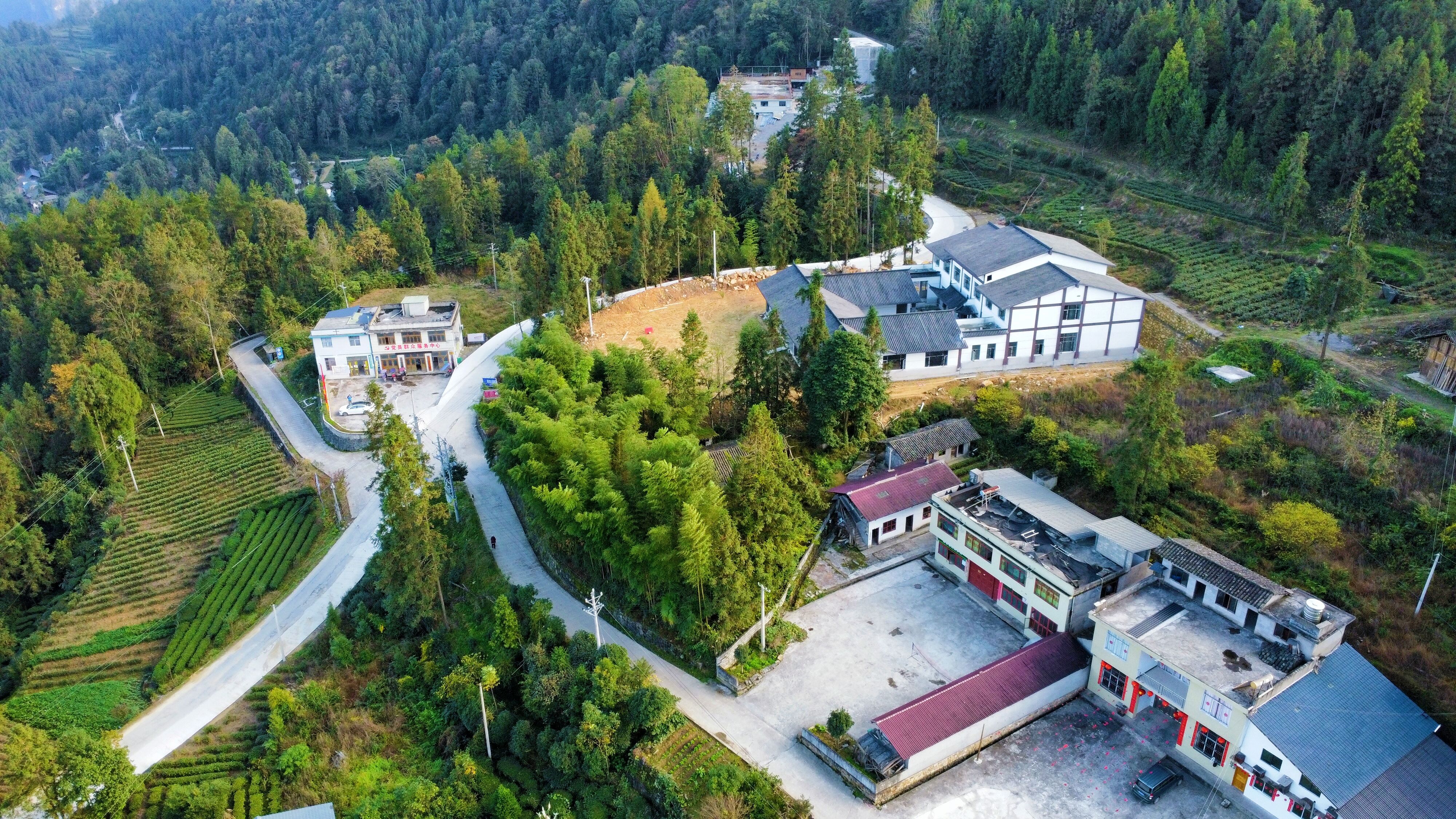 利川凤凰村：茶香漫郁江 富美新山村(图3)